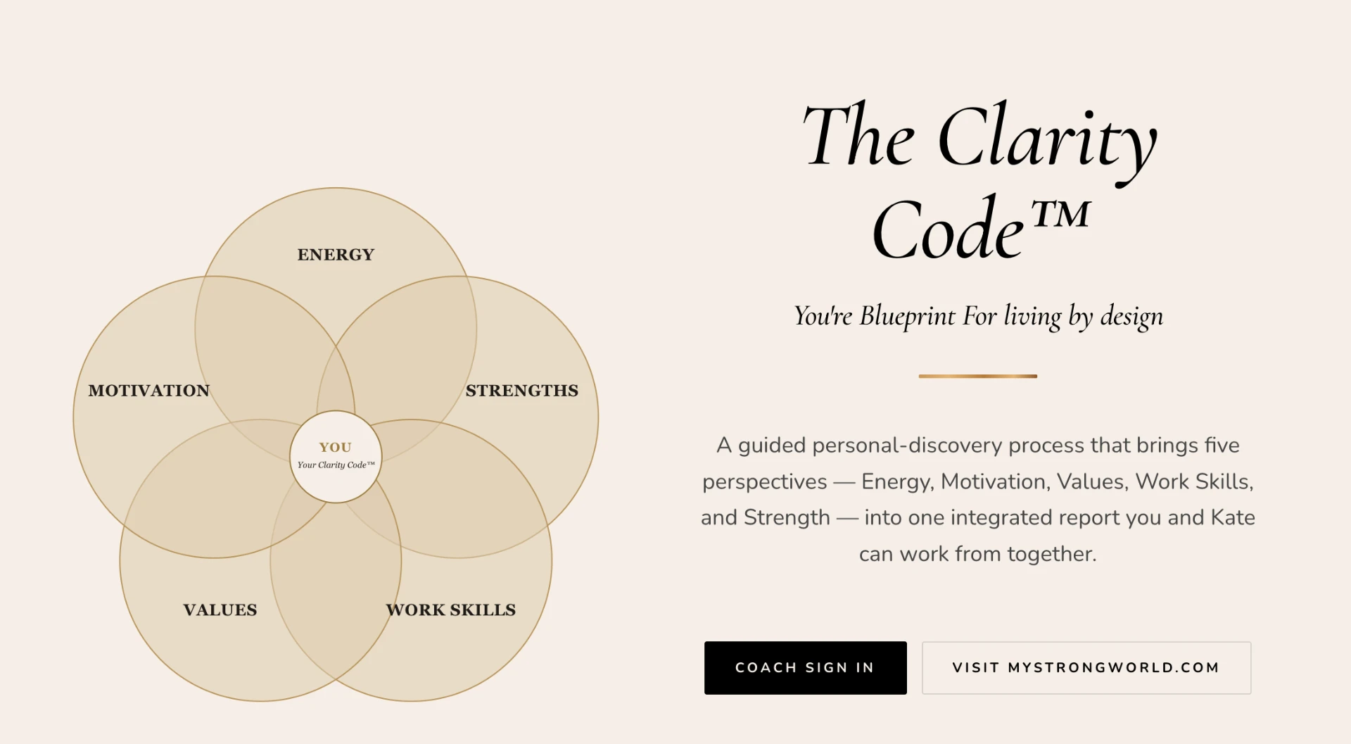The Clarity Code client dashboard for a luxury coaching brand